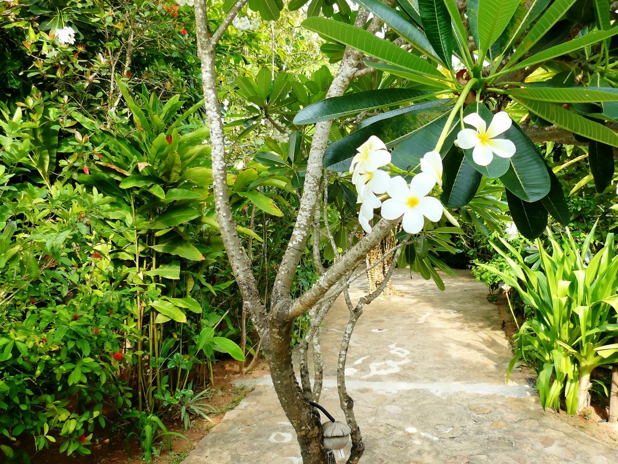 Mealea Resort Kep Εξωτερικό φωτογραφία